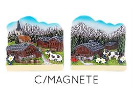 Magnet Sommerlandschaft, 2 assortiert