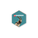 Magnet Steinbock - Graubünden
