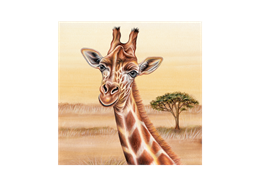 Magnet Wild Giraffe