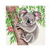 Magnet Wild Koala