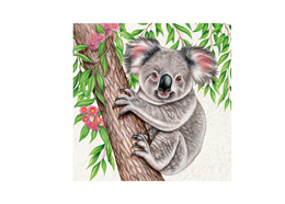 Magnet Wild Koala