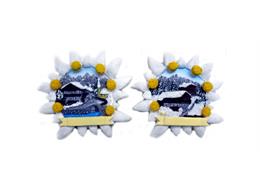 Magnet Winter Almhaus mit Edelweiss, 2 assortiert