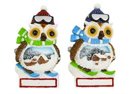Magnet Winter Eule auf Ski, 2 assortiert