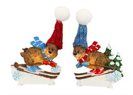 Magnet Winter Murmeltier auf Ski, 2 assortiert