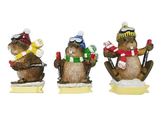 Magnet Winter Murmeltier mit Ski, 3 assortiert
