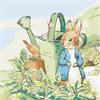 Malen nach Zahlen Bild-Set 30x30cm "Peter Hase und Robin"