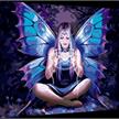 Malen nach Zahlen Bild-Set 30x40cm "Feen-Zauber" Anne Stokes | Bild 2