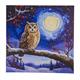 Mondlicht Eule, 30x30cm Crystal Art Kit