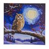 Mondlicht Eule, 30x30cm Crystal Art Kit