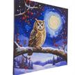 Mondlicht Eule, 30x30cm Crystal Art Kit | Bild 2