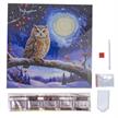 Mondlicht Eule, 30x30cm Crystal Art Kit | Bild 4