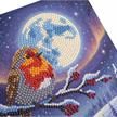 Mondschein-Rotkehlchen, 18x18cm Crystal Art Card | Bild 2
