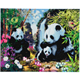 Panda-Tal, 40x50cm Crystal Art Kit