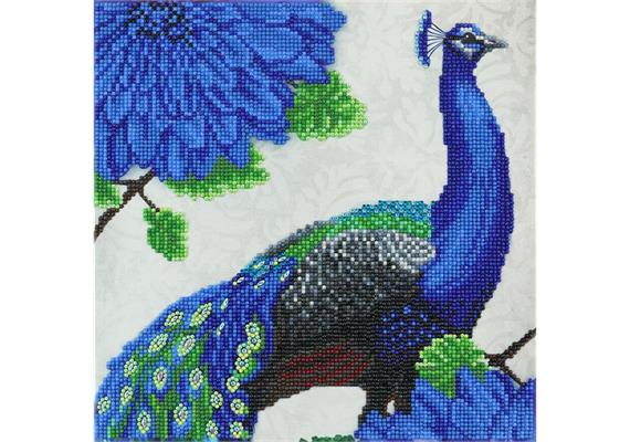 Pfau mit Blumen, 30x30cm Crystal Art Kit