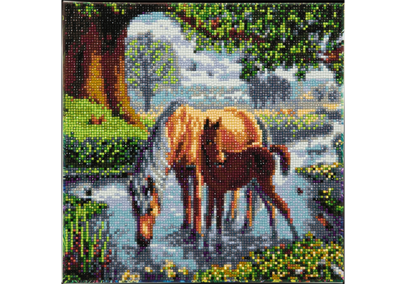 Pferde im Fluss, Bild 30x30cm Crystal Art Kit
