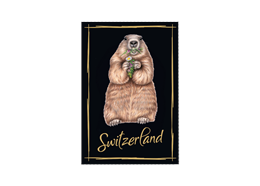 Piko 55290 Schienenverbinder 24 Stk.