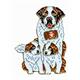 Pin Bernhardiner Familie, 38 x 28 mm