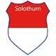 Pin Solothurn