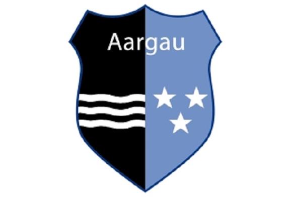 Pin Wappen Aargau