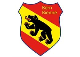 Pin Wappen Bern