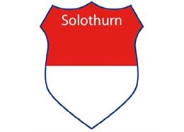 Pin Wappen Solothurn