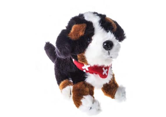 Plüsch Berner Sennenhund 15 cm