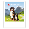 Postkarte Berner Sennenhund - Switzerland