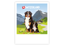 Postkarte Berner Sennenhund - Switzerland