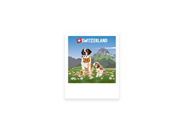 Postkarte Bernhardiner - Switzerland