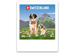 Postkarte Bernhardiner - Switzerland