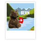 Postkarte Braunbär Bern