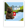 Postkarte Braunbär Bern