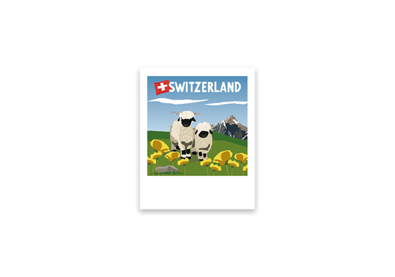Postkarte Schwarznasenschaf - Switzerland