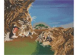Raging Lions, 40x50cm Crystal Art Kit