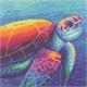 Regenbogen Schildkröte, 30x30cm Crystal Art Kit RACHEL FROUD
