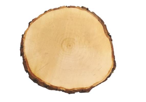Rindenholz Schneidbrett rund 18-25 cm