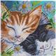 Schlafende Katzen, Bild 30x30cm Crystal Art
