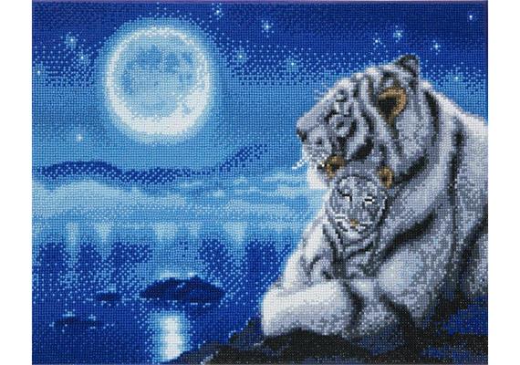Schlafende weisse Tiger, Bild 40x50cm Crystal Art Kit