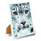Schnee-Leopard, 21x25cm Bild mit Rahmen Crystal Art