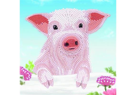 Schwein auf dem Zaun, Karte 18x18cm Crystal Art