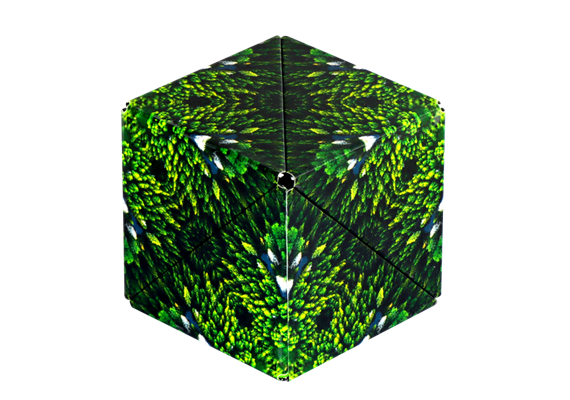 Shashibo Cube Forest