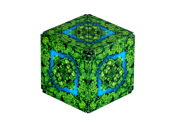 Shashibo Cube Jungle