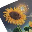 Sonnenblume, 18x18cm Crystal Art Card | Bild 2
