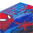Spiderman, Bild 22x40cm Crystal Art Leinwand | Bild 3
