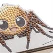 Spinne, Crystal Art Buddy | Bild 2