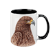 Tasse Steinadler, schwarz innen, 330ml
