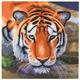 Tiger, Karte 18x18cm Crystal Art