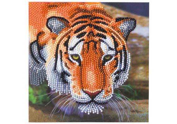Tiger, Karte 18x18cm Crystal Art