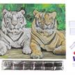 Tigers, 40x50cm Crystal Art Kit | Bild 4