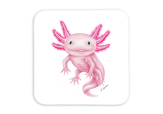 Untersetzer Axolotl, 9x9cm